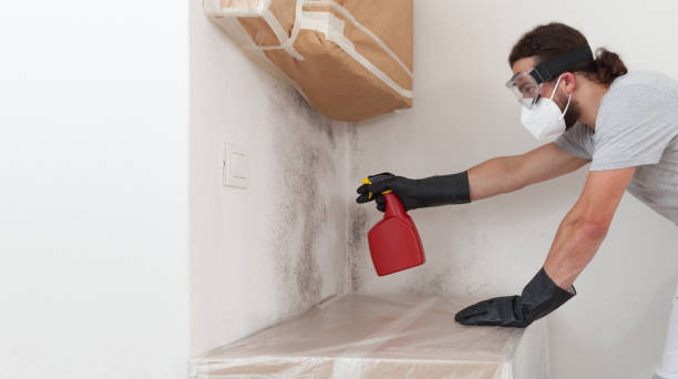 Professional Mold Testing technician working in Westport, NC